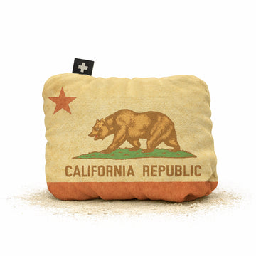 Vintage CA Flag Square Bag